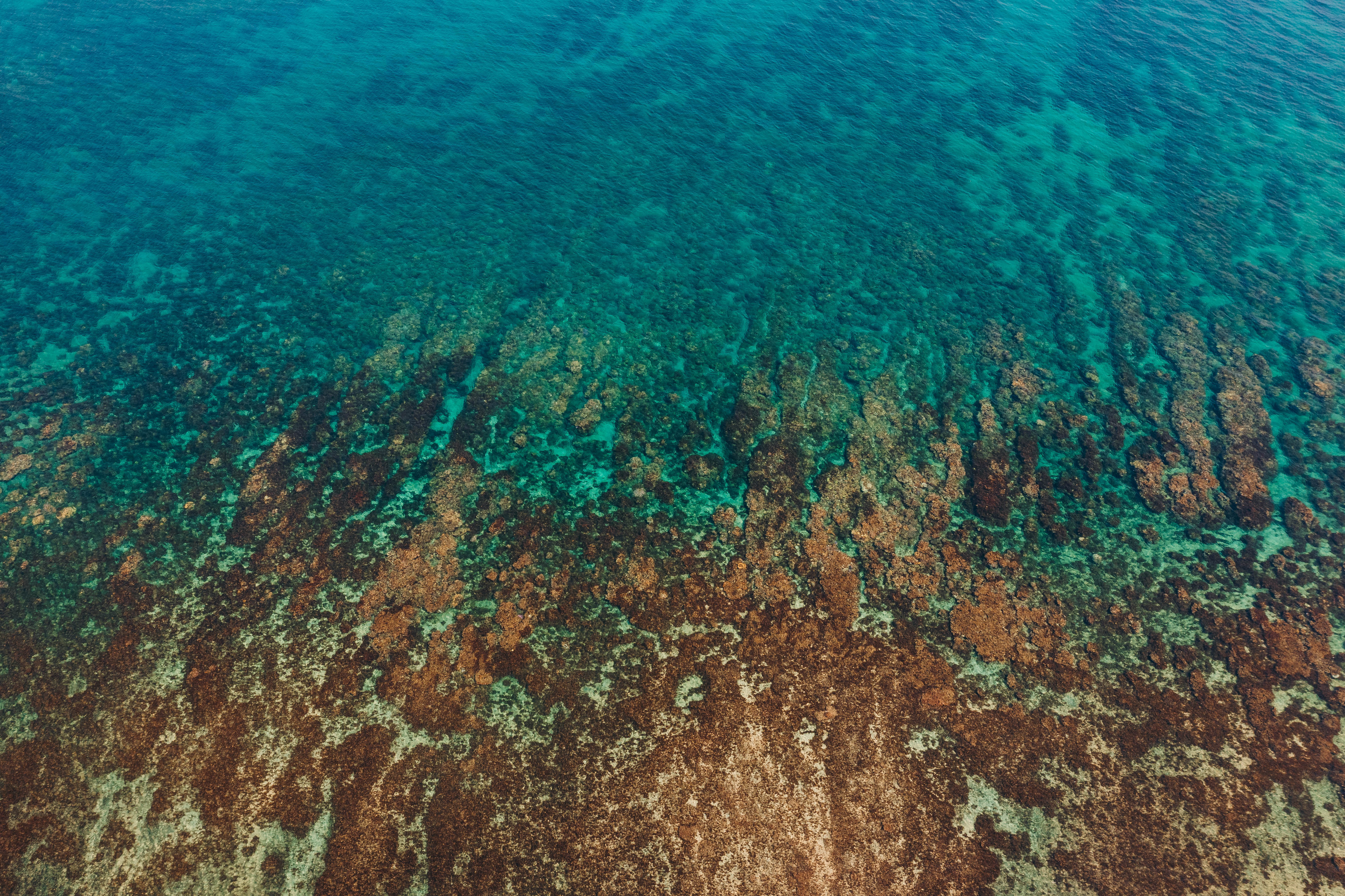 An overhead view of reef formations beneath clear turquoise shallows.