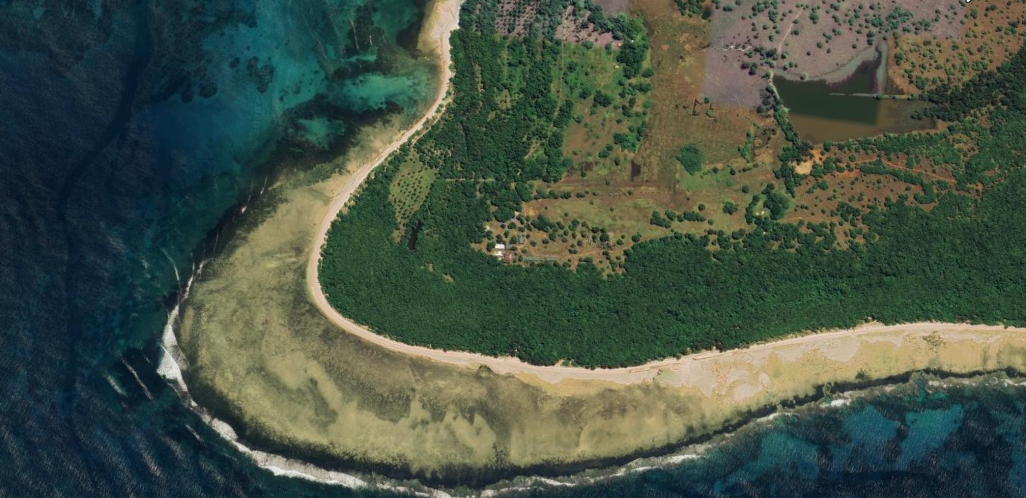 Supplied aerial image of the Sinaya shoreline, showing the existing beach, reef and forest.