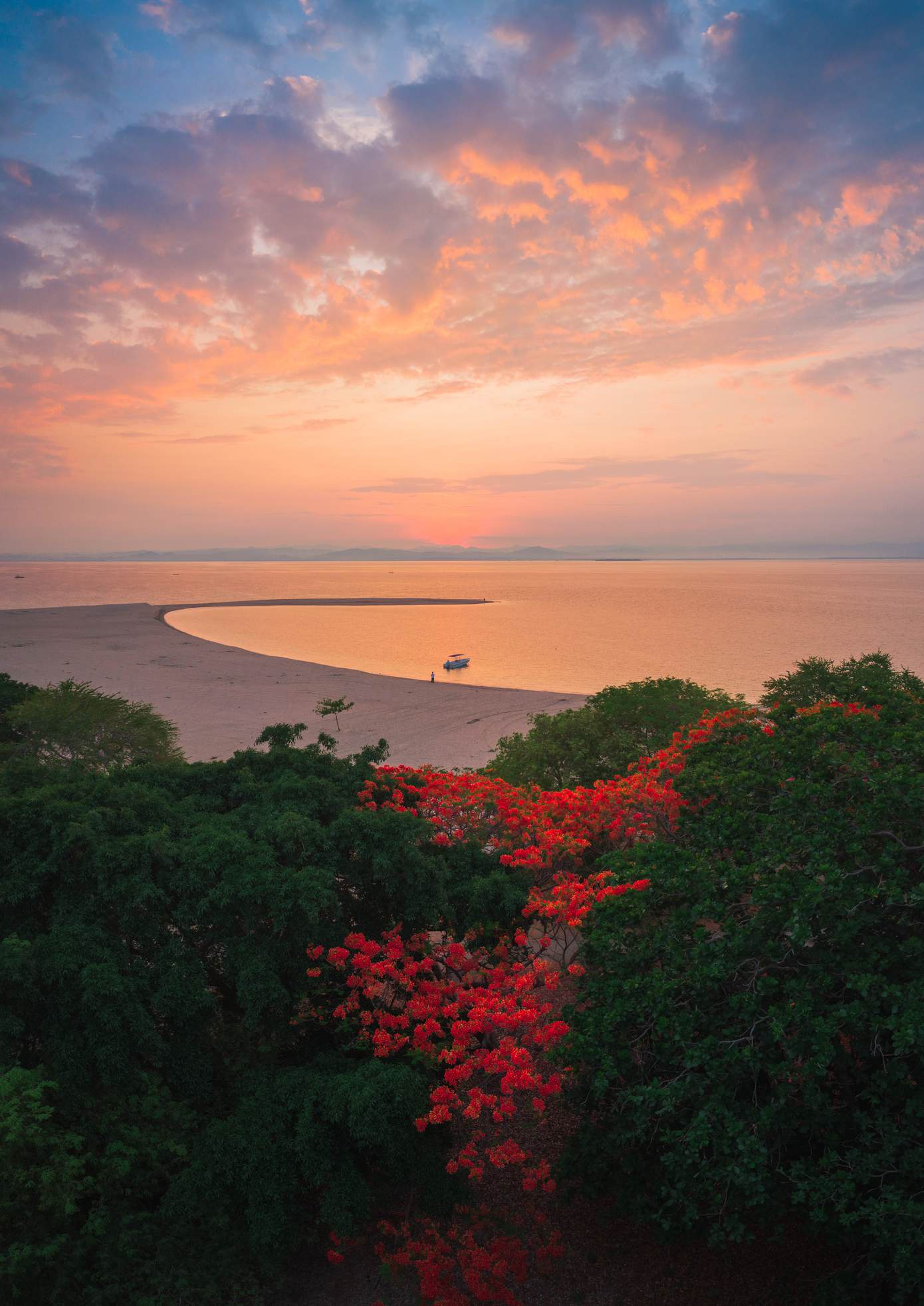 Red firetree blossoms above the sandbar, beneath a peach and gold sunset over Hermana Mayor.